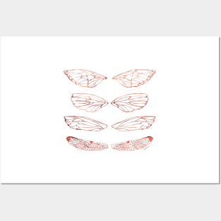 Insect Wings Rose Gold - Butterfly, Moth, Cicada, and Dragonfly Posters and Art